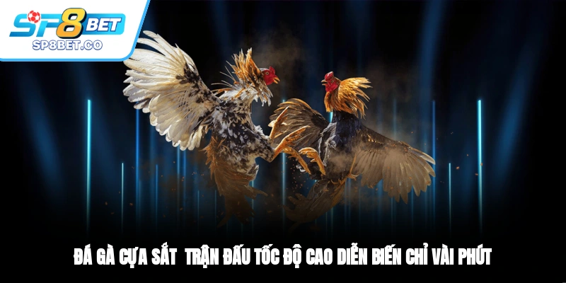 Đá Gà Cựa Sắt Trận Đấu Tốc Độ Cao Diễn Biến Chỉ Vài Phút