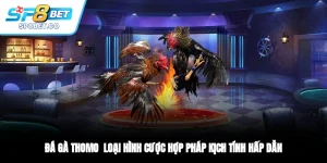 Đá Gà Thomo - Loại Hình Cược Hợp Pháp, Kịch Tính, Hấp Dẫn