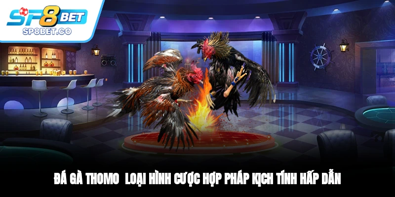 Đá Gà Thomo - Loại Hình Cược Hợp Pháp, Kịch Tính, Hấp Dẫn