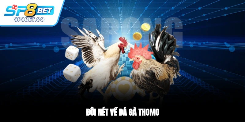 Đôi nét về đá gà Thomo