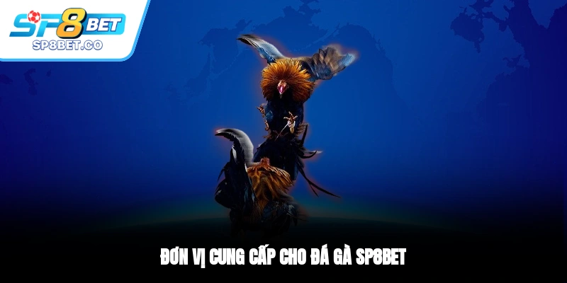 Đơn vị cung cấp cho đá gà SP8BET
