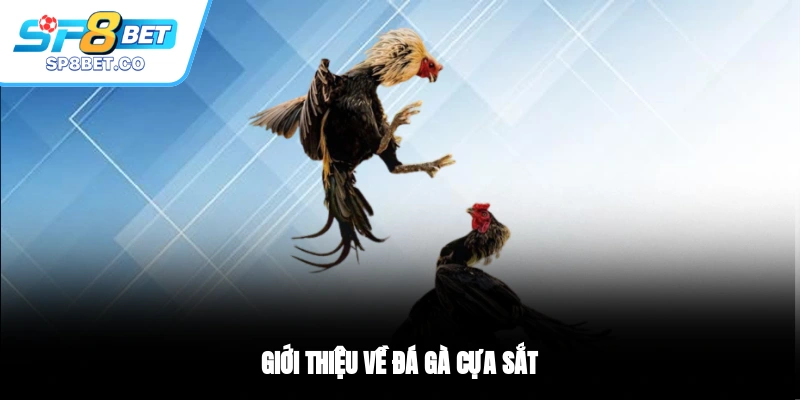 Giới thiệu về đá gà cựa sắt