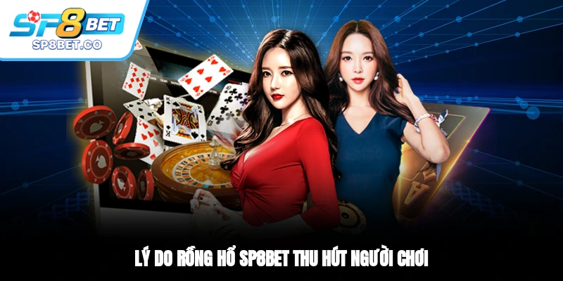 Lý do Rồng Hổ SP8BET thu hút người chơi