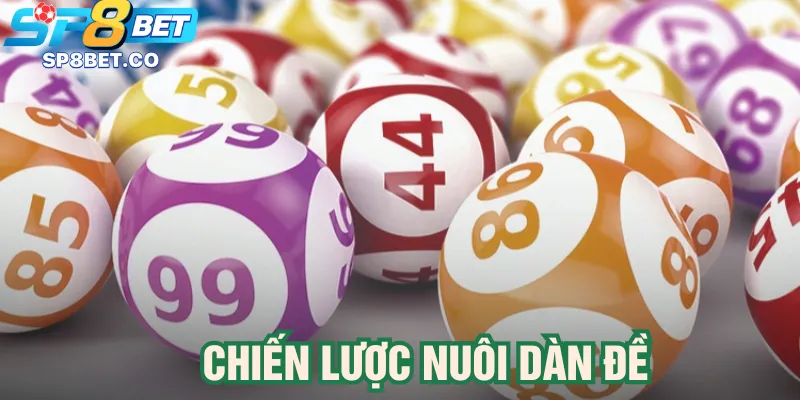 Chiến lược nuôi dàn đề